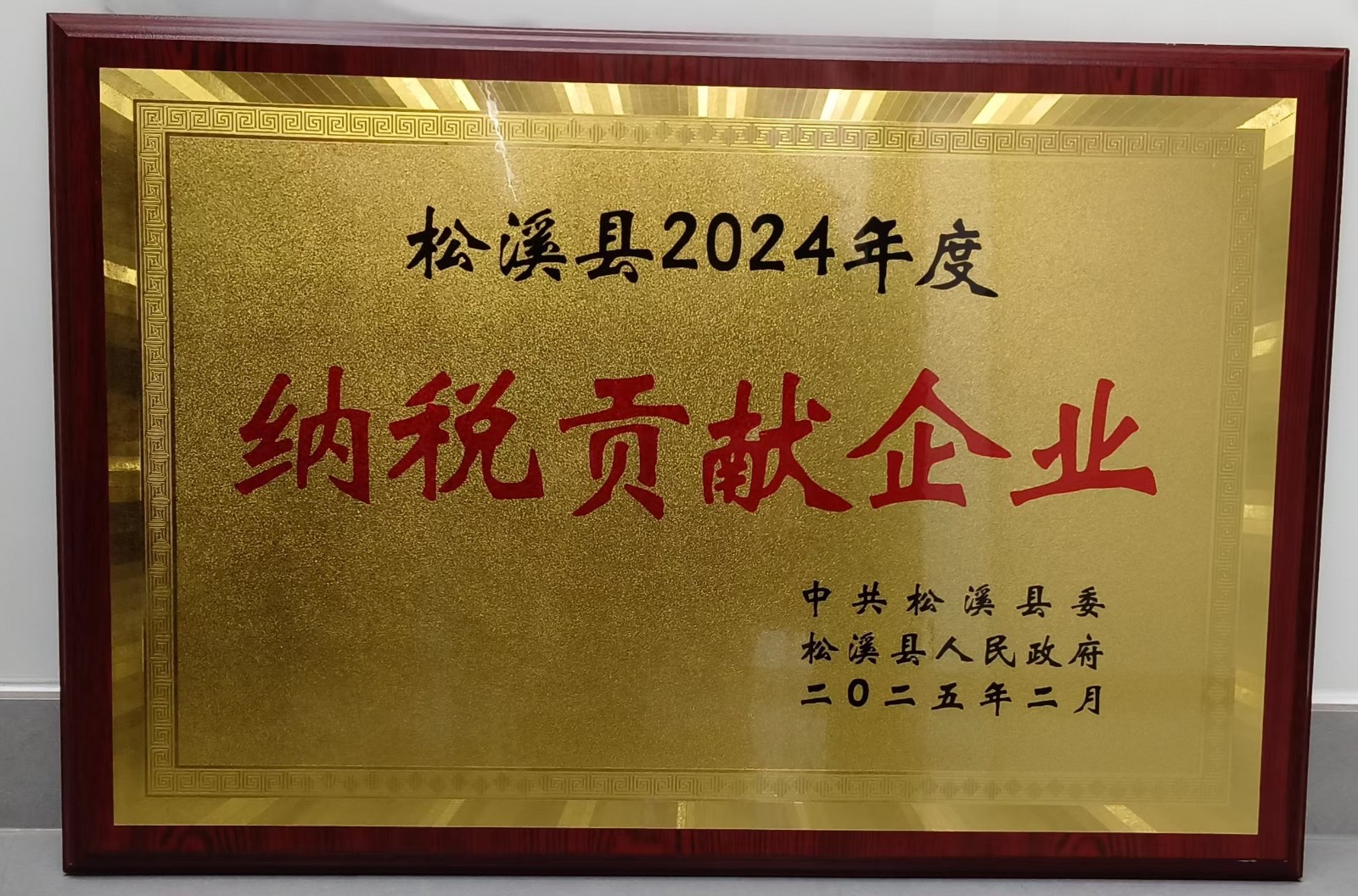 喜報!易順建工集團榮獲“松溪縣2024年度納稅貢獻企業(yè)”稱號